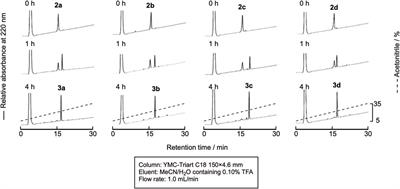 Application of cysteinyl prolyl ester for the synthesis of cyclic peptides containing an RGD sequence and their biological activity measurement